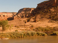 Desert train . . .