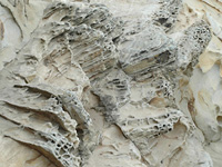 Seabed revealed . . .