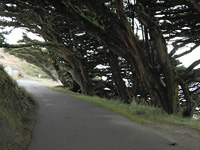 Walkway . . .