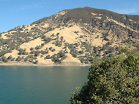 Stafford Lake . . .