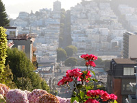 The top of Lombard Street . . .