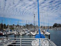 Santa Cruz . . .