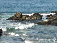 San Gregorio beach area . . .