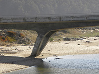 San Gregorio beach area . . .