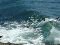 Santa Cruz surfers . . .