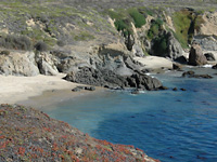 Pigeon Point . . .