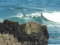 Pescadero Beach . . .