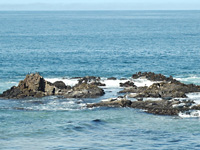 Pescadero Beach . . .